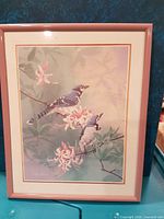 Full framed blue jay print