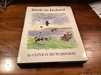 Front dust jacket of Birds in Ireland hardcover book