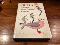 Front cover of book showing title, author and gull illustration