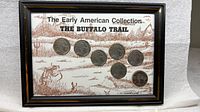 Full view of framed Buffalo Nickel display