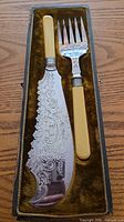 cake server and matching fork in velvet-lined case