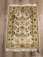 Full view of rug showing pattern and fringe