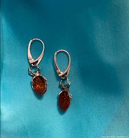 Front view of both sterling silver spider earrings with amber bodies