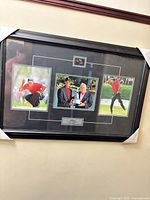 Full view of framed collage