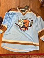 Full front view of light blue Sudbury Bulldogs Verbero jersey showing signatures and overall condition