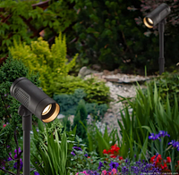 Two solar spotlights installed in garden setting