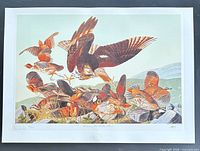 Entire lithograph with border and numbering visible