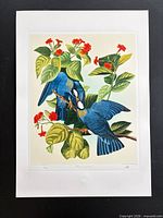 Full view of unframed print showing artwork and borders