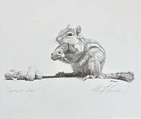 Close-up of artwork showing chipmunk, title, artist signature