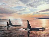 Full image of the orca lithograph