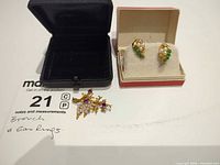 Brooch, earrings and presentation boxes overview