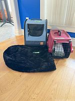 Group view of backpack carrier, hard carrier and bed