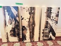 All three canvas prints showing imagery and size comparison