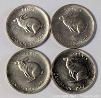 Group shot of four 1967 Canada 5-cent coins showing rabbit reverse