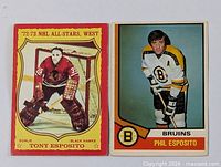 Both O-Pee-Chee Esposito cards front view