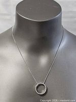 Full view of necklace on display bust