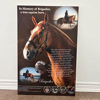 Front view showing horse image and text