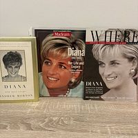 All three items upright showing covers