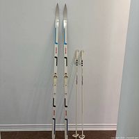 Full view of both skis standing upright beside two poles
