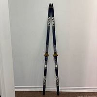 Full view of both blue Titan cross-country skis standing upright