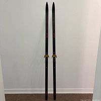Full view of both skis standing upright