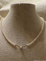 Full view of pearl necklace on display bust