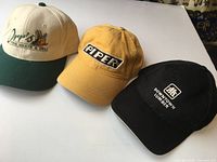 Three caps laid out showing logos and colors