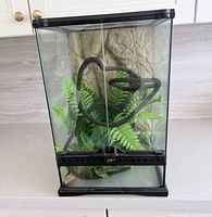 Front view of glass terrarium with accessories inside