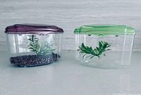 Two plastic fish bowls with colored lids, gravel and artificial plants displayed