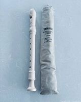 Recorder and carrying pouch displayed front side