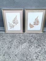 Both framed botanical artworks side by side