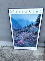 Full view of framed poster showing image and frame