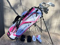 Stand bag with clubs inserted, gloves and headcovers on ground