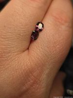 Two pink-purple cushion-cut spinels shown on finger for scale