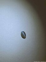 Loose oval cat’s eye alexandrite on neutral background