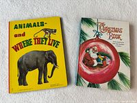 Front covers of both books