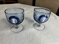 Both blue cameo goblets front view
