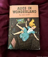 Front cover showing title, author, and Alice illustration
