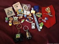 Group shot of all pins and keychains