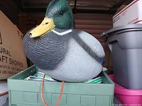 Top view of mallard drake decoy showing head, bill, body coloration and anchor cord