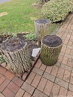 Three tree stumps on patio showing overall condition