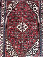 Full view of Hamadan rug showing overall pattern and borders