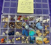 Overview of entire organizer showing approximately 24 pairs of earrings