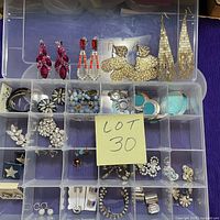 Overview of organizer showing assorted earrings in compartments and four larger pairs on top edge