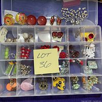 Organizer box overview showing multiple earring pairs