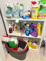 Full view of shelf, cleaning products, mop bucket and mop