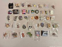 Full layout of all pins