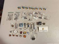 Full lot layout showing pins, keychains, sealed bags, and display case
