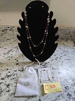 Full view of necklace on display stand with earrings and pouch below