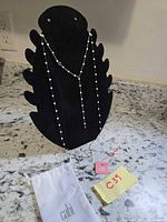 Necklace on display stand with pouch and tag visible